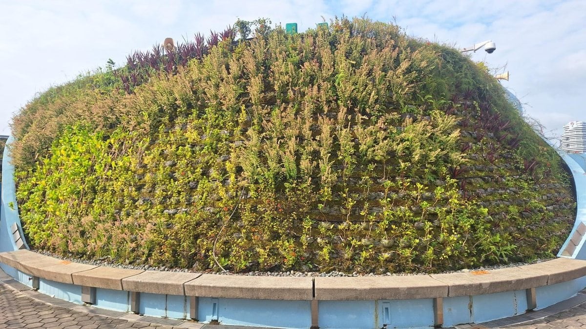 Sculpted vertical planting maintained by TTK Services