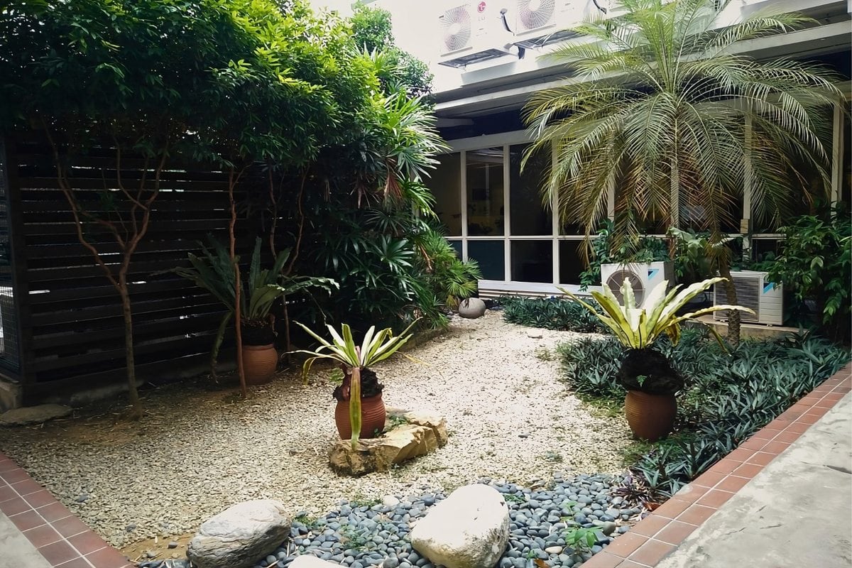 Landscaped courtyard garden designed by TTK Services